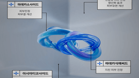 시카 컴플렉스