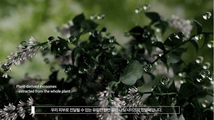 [현대바이오랜드] HDB엑소좀